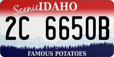 ID license plate 2C6650B