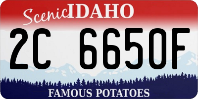 ID license plate 2C6650F