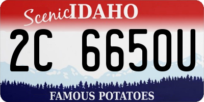 ID license plate 2C6650U