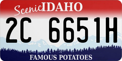 ID license plate 2C6651H