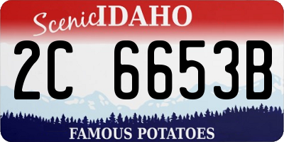 ID license plate 2C6653B