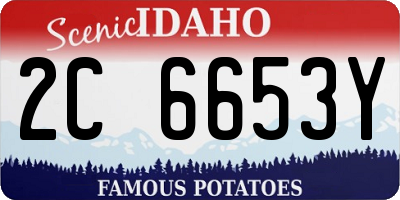 ID license plate 2C6653Y