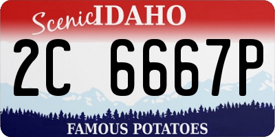 ID license plate 2C6667P