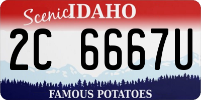ID license plate 2C6667U