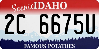 ID license plate 2C6675U