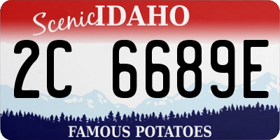 ID license plate 2C6689E