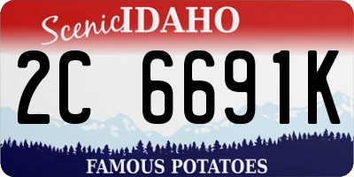 ID license plate 2C6691K