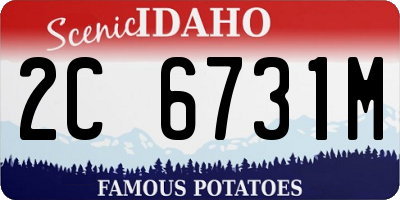 ID license plate 2C6731M