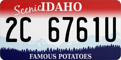 ID license plate 2C6761U
