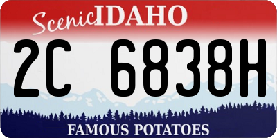 ID license plate 2C6838H