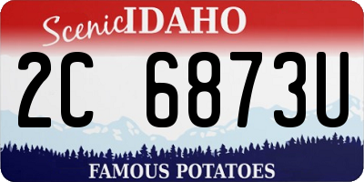ID license plate 2C6873U