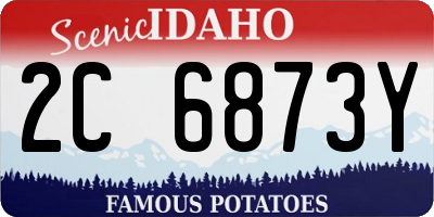 ID license plate 2C6873Y