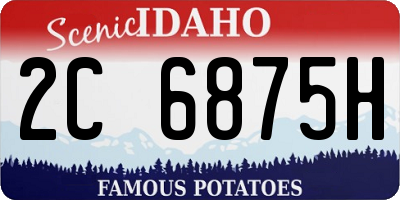 ID license plate 2C6875H