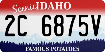 ID license plate 2C6875V