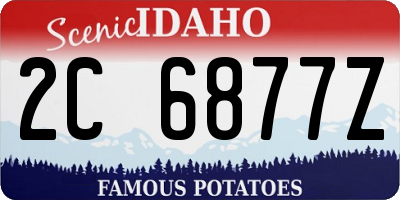 ID license plate 2C6877Z