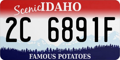 ID license plate 2C6891F