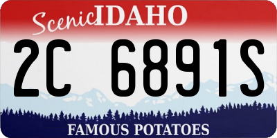 ID license plate 2C6891S