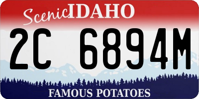 ID license plate 2C6894M