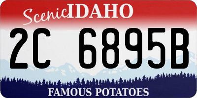 ID license plate 2C6895B