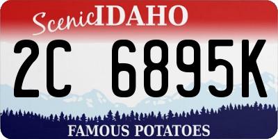 ID license plate 2C6895K