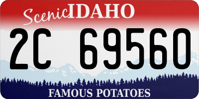 ID license plate 2C6956O