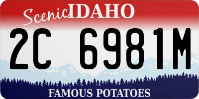 ID license plate 2C6981M