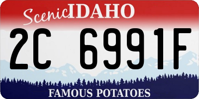 ID license plate 2C6991F