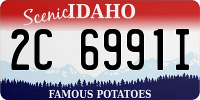 ID license plate 2C6991I