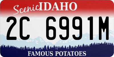 ID license plate 2C6991M