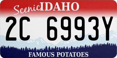 ID license plate 2C6993Y