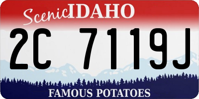 ID license plate 2C7119J