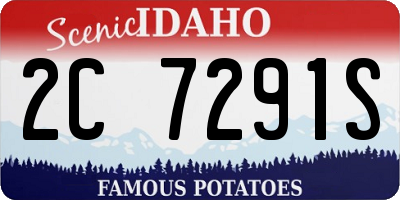 ID license plate 2C7291S