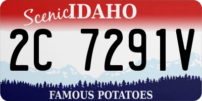 ID license plate 2C7291V