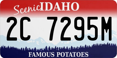 ID license plate 2C7295M