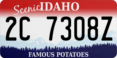 ID license plate 2C7308Z