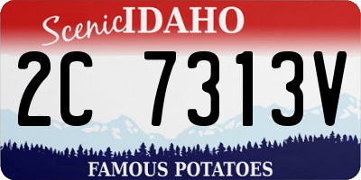 ID license plate 2C7313V