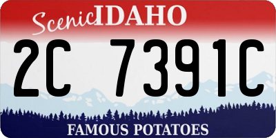 ID license plate 2C7391C
