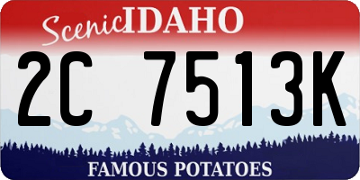 ID license plate 2C7513K
