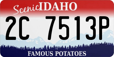 ID license plate 2C7513P