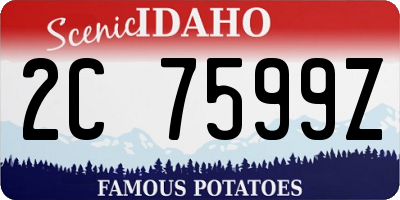 ID license plate 2C7599Z
