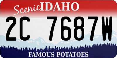 ID license plate 2C7687W