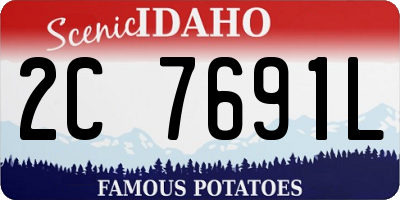 ID license plate 2C7691L