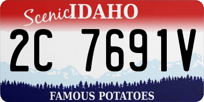 ID license plate 2C7691V