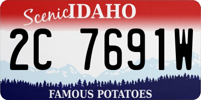 ID license plate 2C7691W