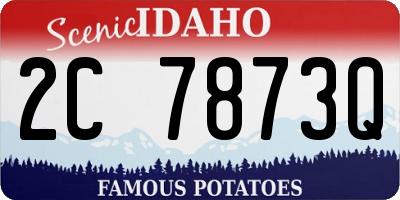 ID license plate 2C7873Q