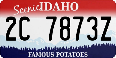 ID license plate 2C7873Z