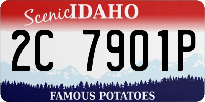 ID license plate 2C7901P
