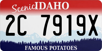 ID license plate 2C7919X