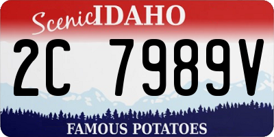 ID license plate 2C7989V