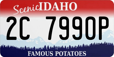 ID license plate 2C7990P